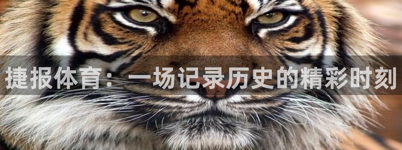 捷报体育：一场记录历史的精彩时刻