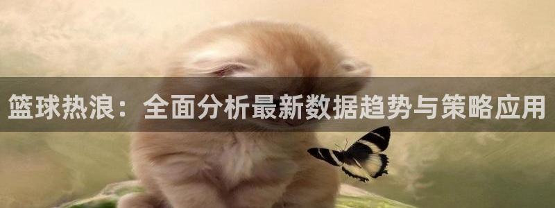 篮球热浪：全面分析最新数据趋势与策略应用