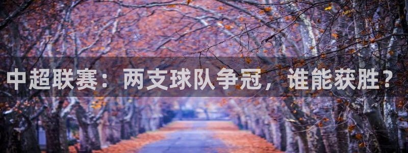 中超联赛：两支球队争冠，谁能获胜？