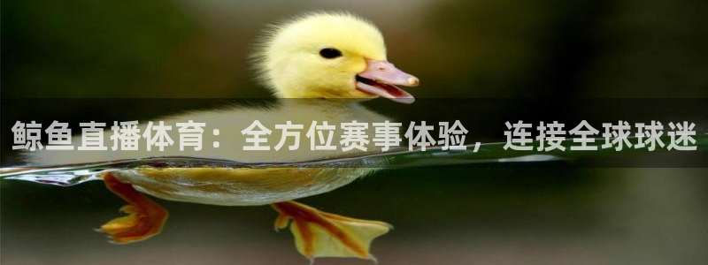 鲸鱼直播体育：全方位赛事体验，连接全球球迷