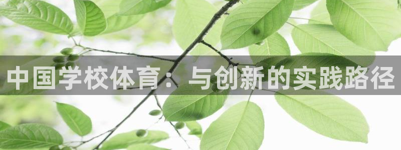 中国学校体育：与创新的实践路径