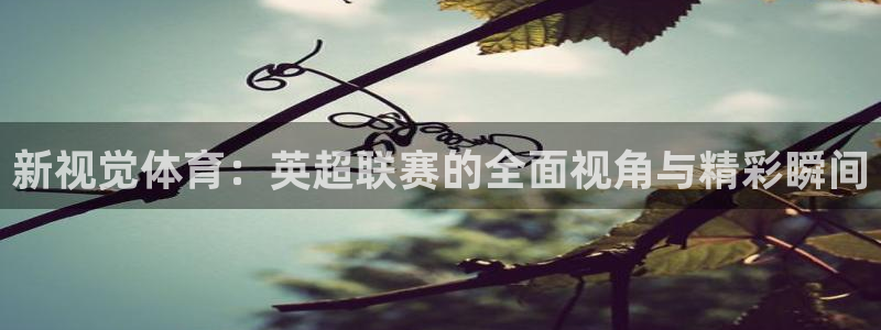 新视觉体育：英超联赛的全面视角与精彩瞬间