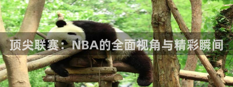 顶尖联赛：NBA的全面视角与精彩瞬间