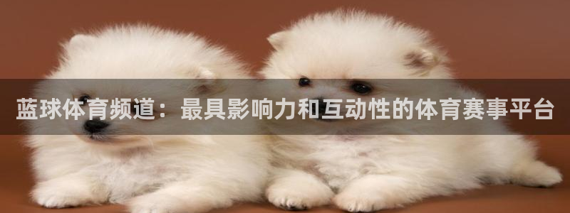 蓝球体育频道：最具影响力和互动性的体育赛事平台