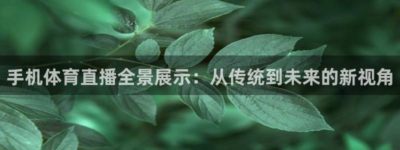 手机体育直播全景展示：从传统到未来的新视角