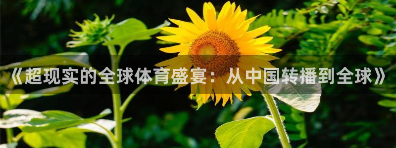 《超现实的全球体育盛宴：从中国转播到全球》