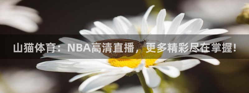 山猫体育：NBA高清直播，更多精彩尽在掌握!